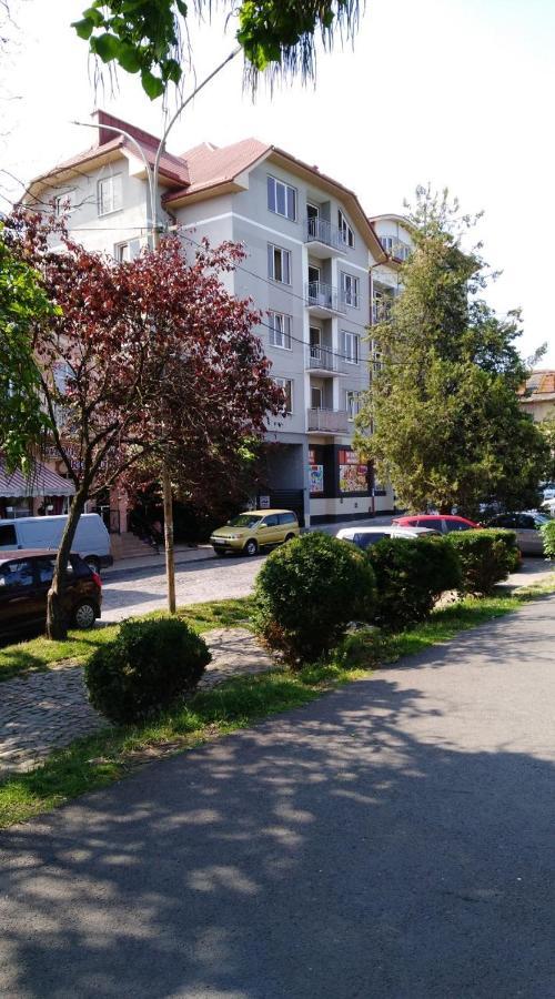 Apartments Domovik Просторная Квартира С Видом На Горы Mukacheve Luaran gambar