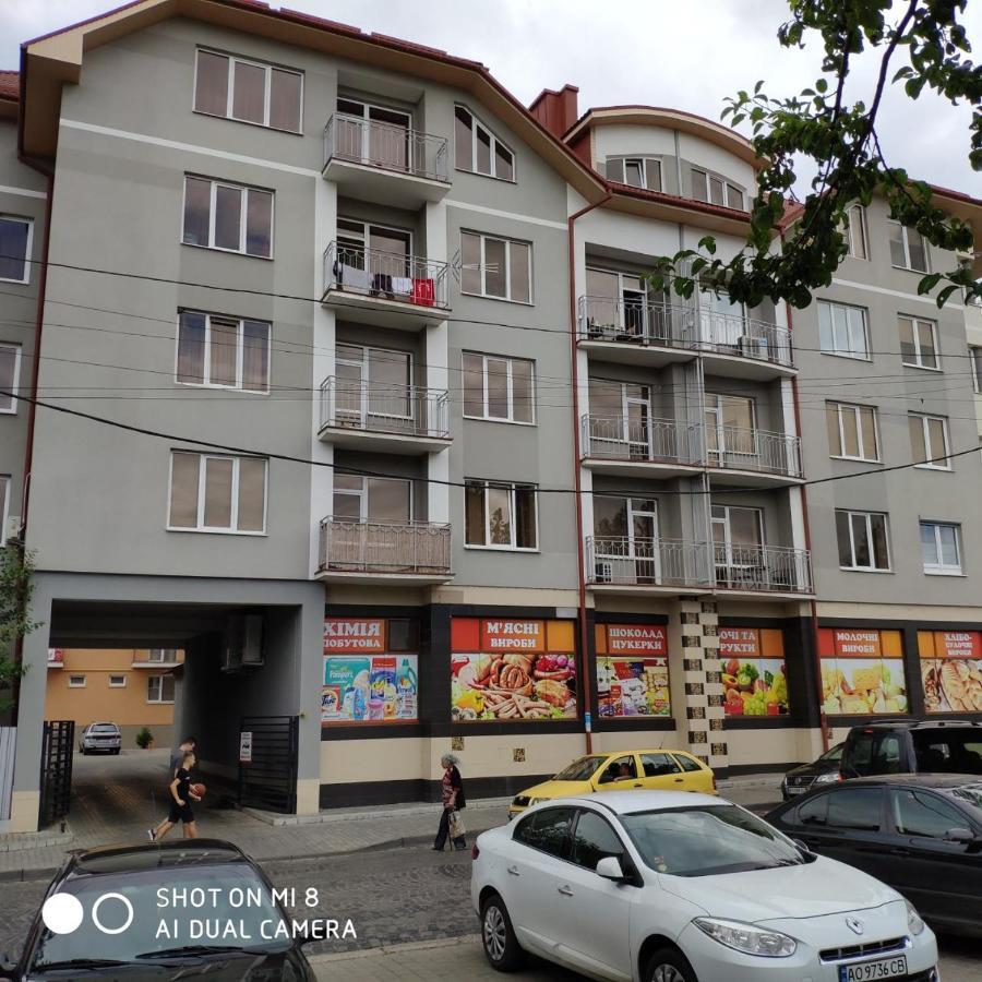 Apartments Domovik Просторная Квартира С Видом На Горы Mukacheve Luaran gambar