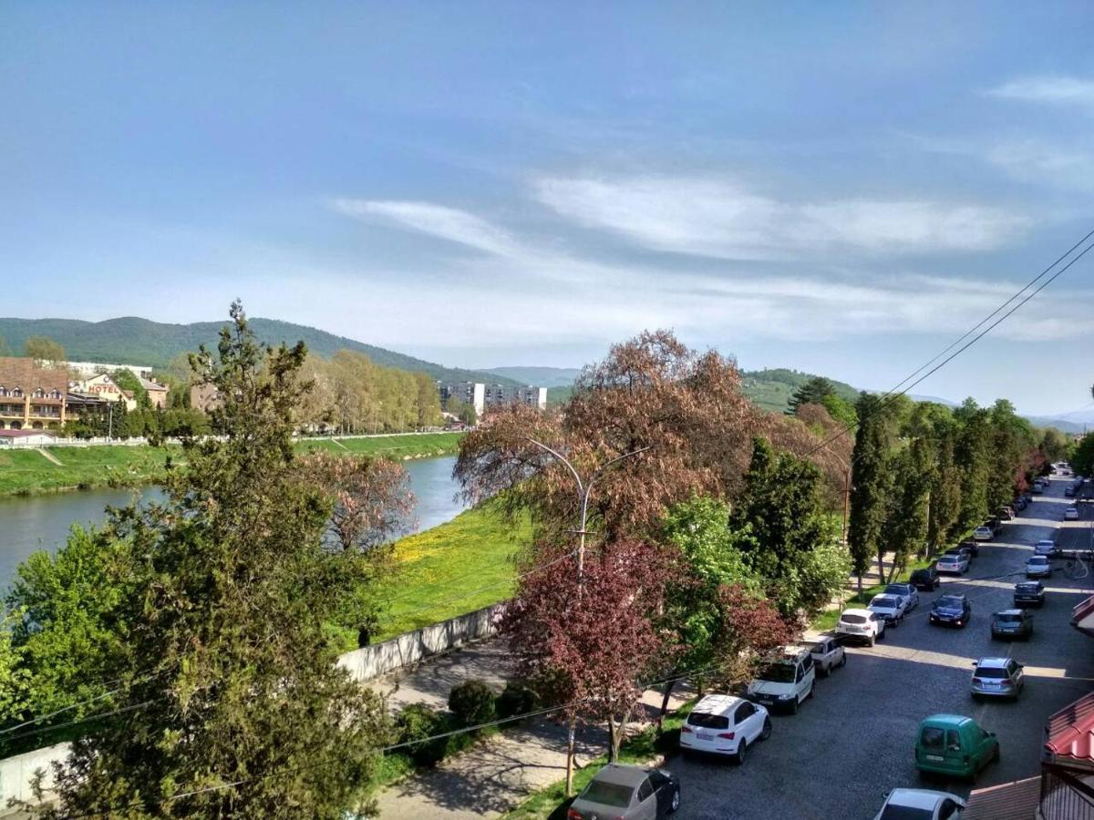 Apartments Domovik Просторная Квартира С Видом На Горы Mukacheve Luaran gambar