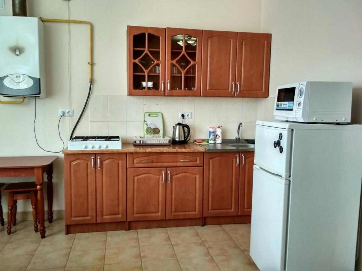 Apartments Domovik Просторная Квартира С Видом На Горы Mukacheve Luaran gambar
